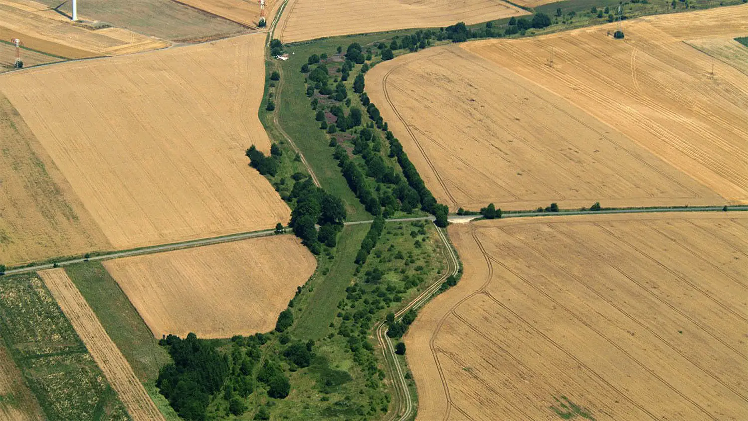 Yellow agricultural fields are separated by a jagged strip of green: the grass and trees that make up the greenbelt.